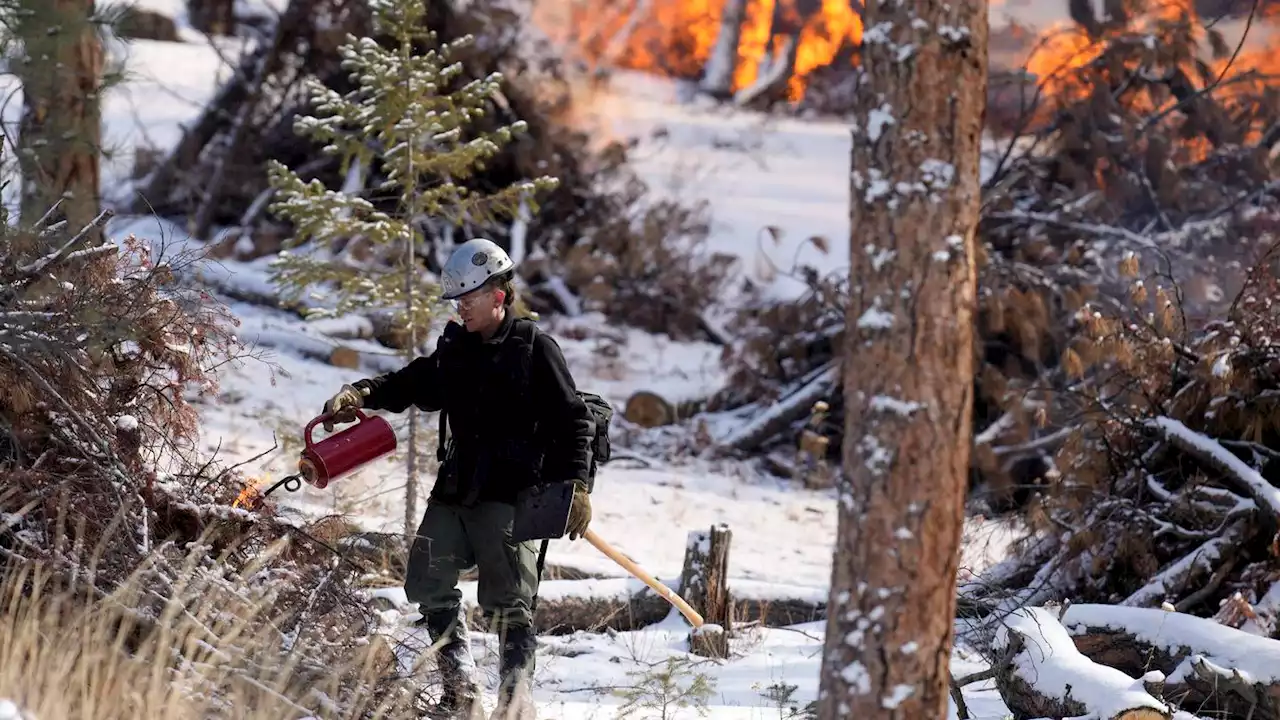 Changing snowfall makes it harder to fight fire with fire