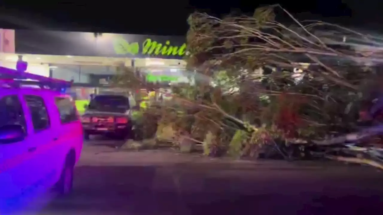 'I'll never forget it': Sydney's damaging winds rip roof off home