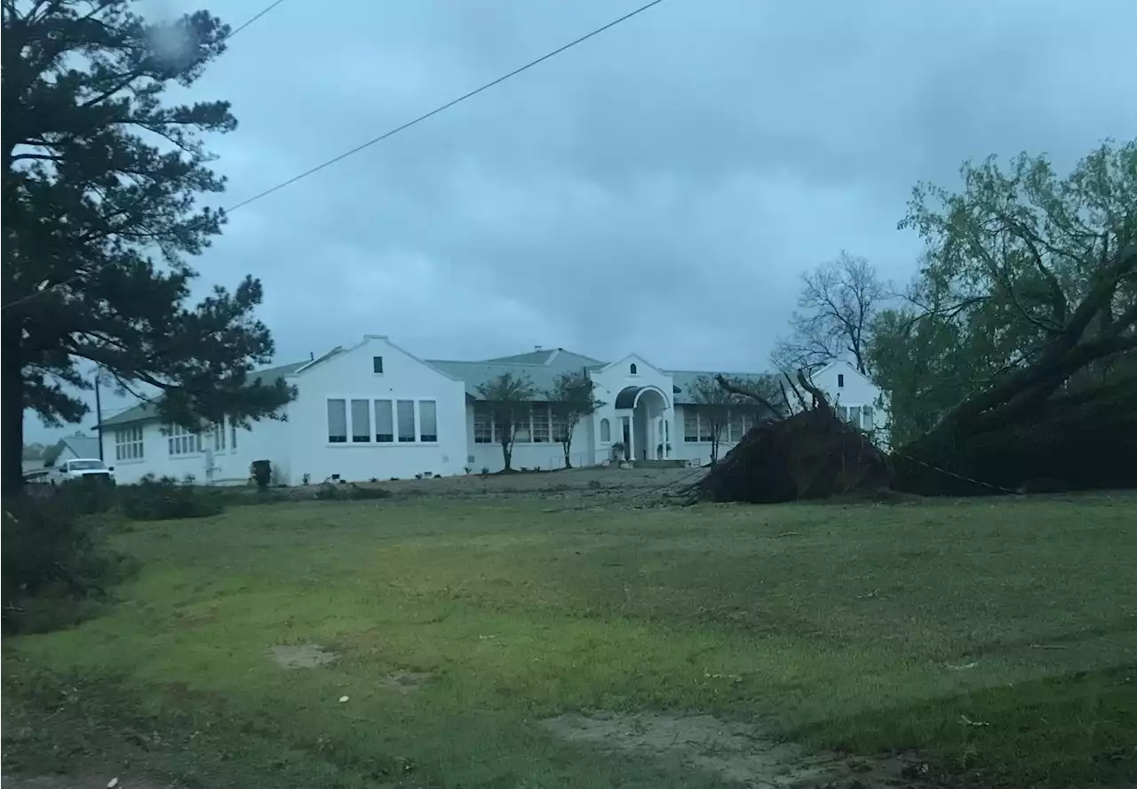 EMA Officials in Lowndes County Assessing Damage from Overnight Storms - Alabama News