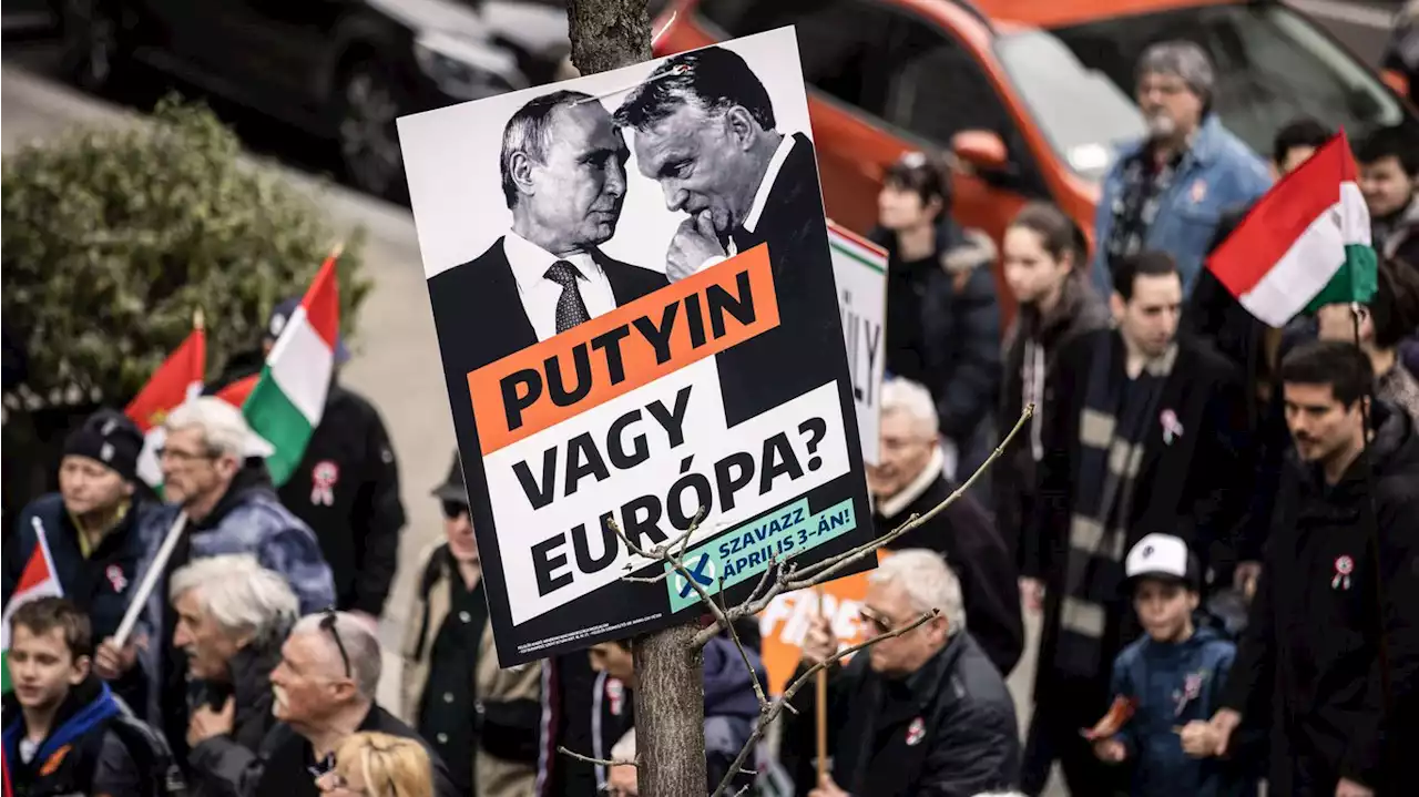 Orbán's Putin ties under scrutiny ahead of Hungary election