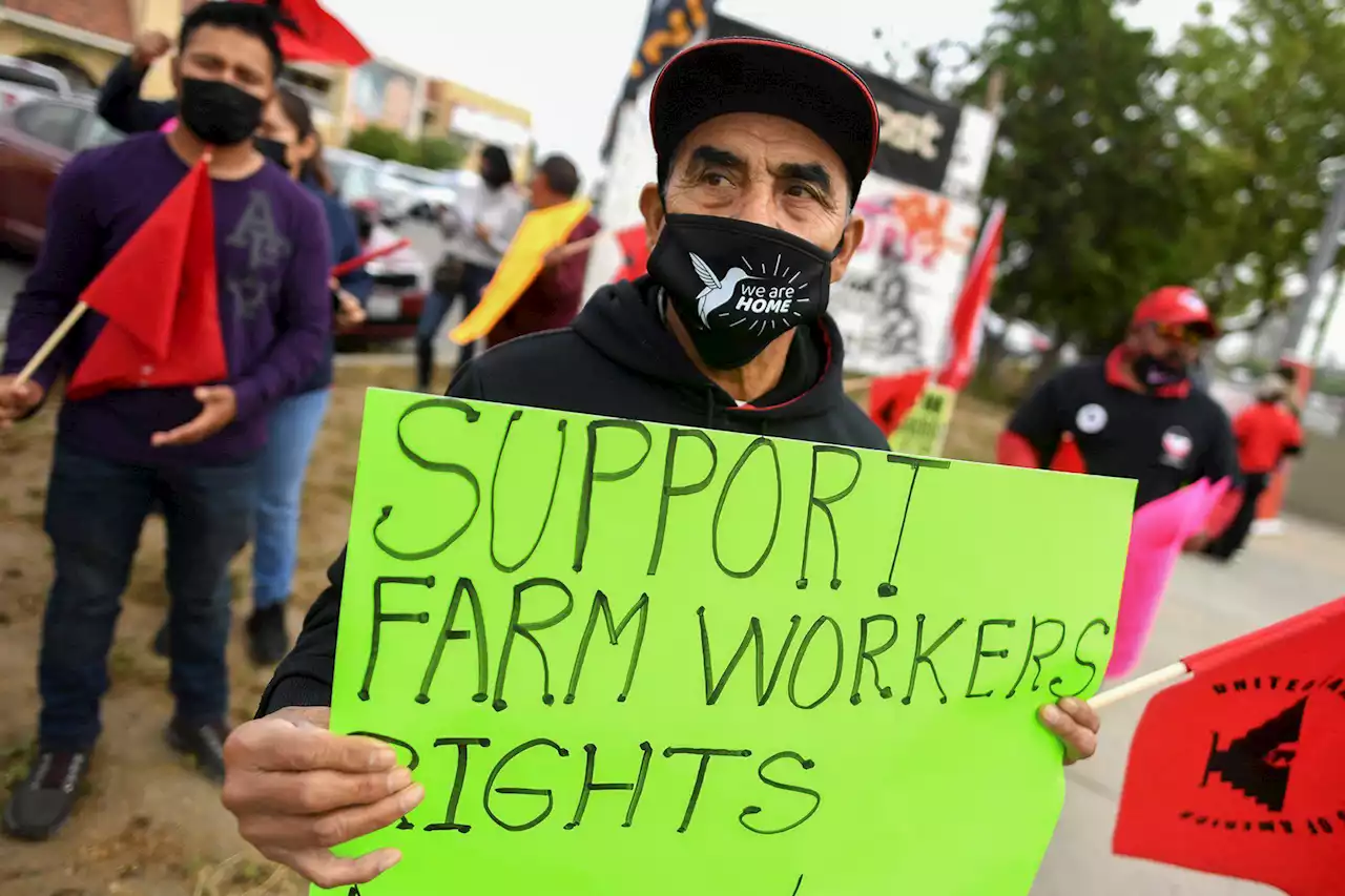 California farmworkers march to ask Newsom to sign voting bill