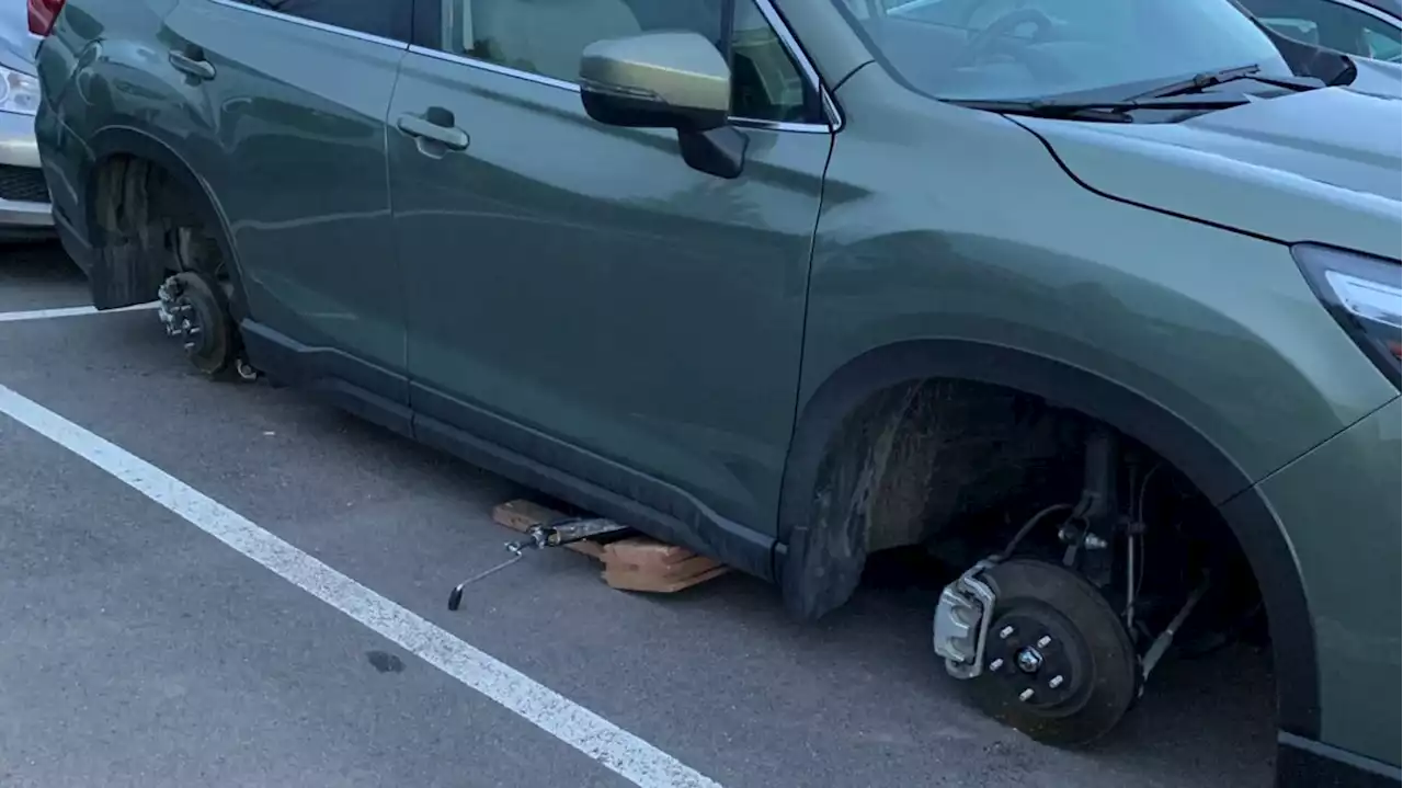 Thief Targets Car Parked At University Of Colorado Campus, Causes $3,000 Of Damage