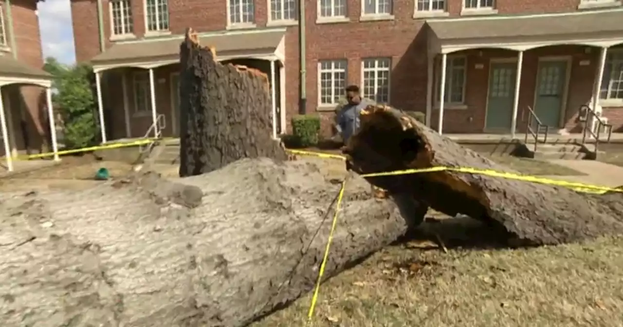 East Coast braces for another night of dangerous storms after severe weather turned deadly