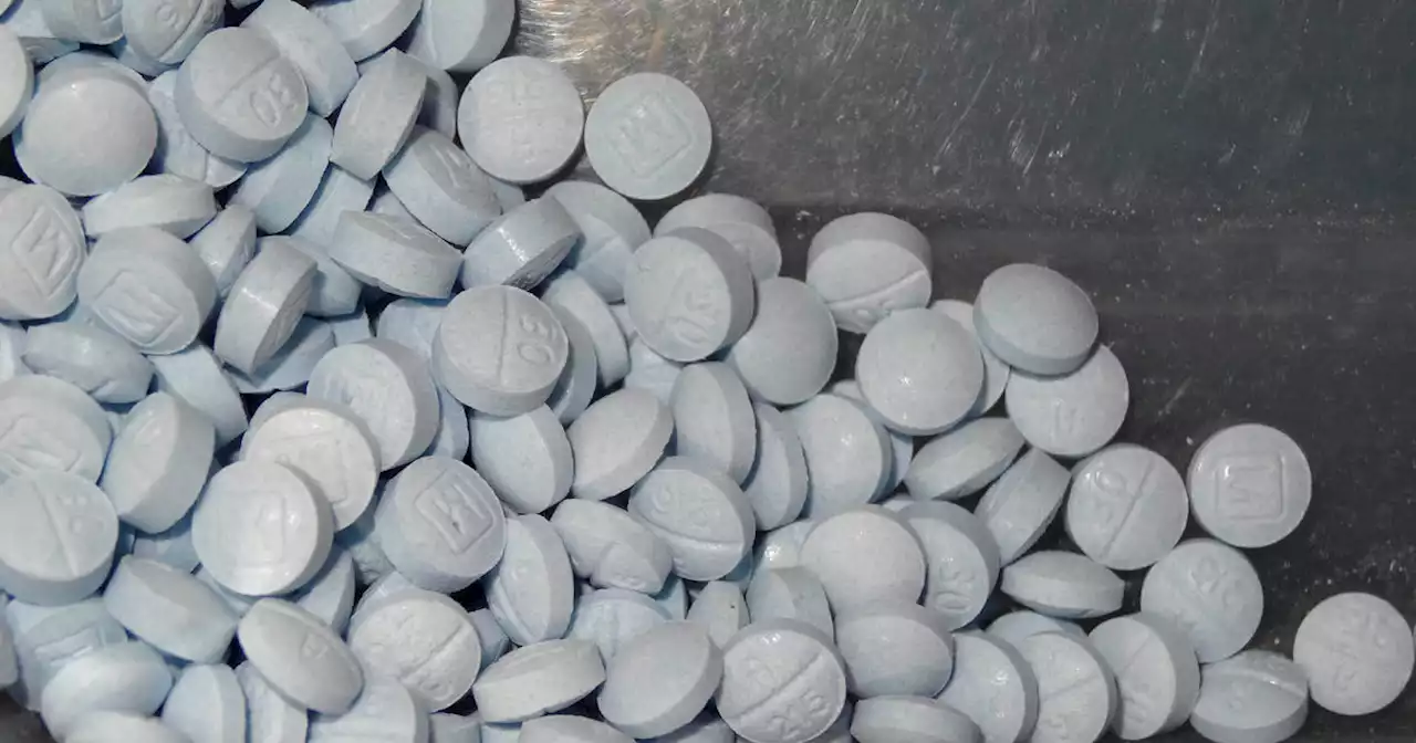 Fentanyl-laced pill seizures have increased nearly 50-fold since 2018, study finds