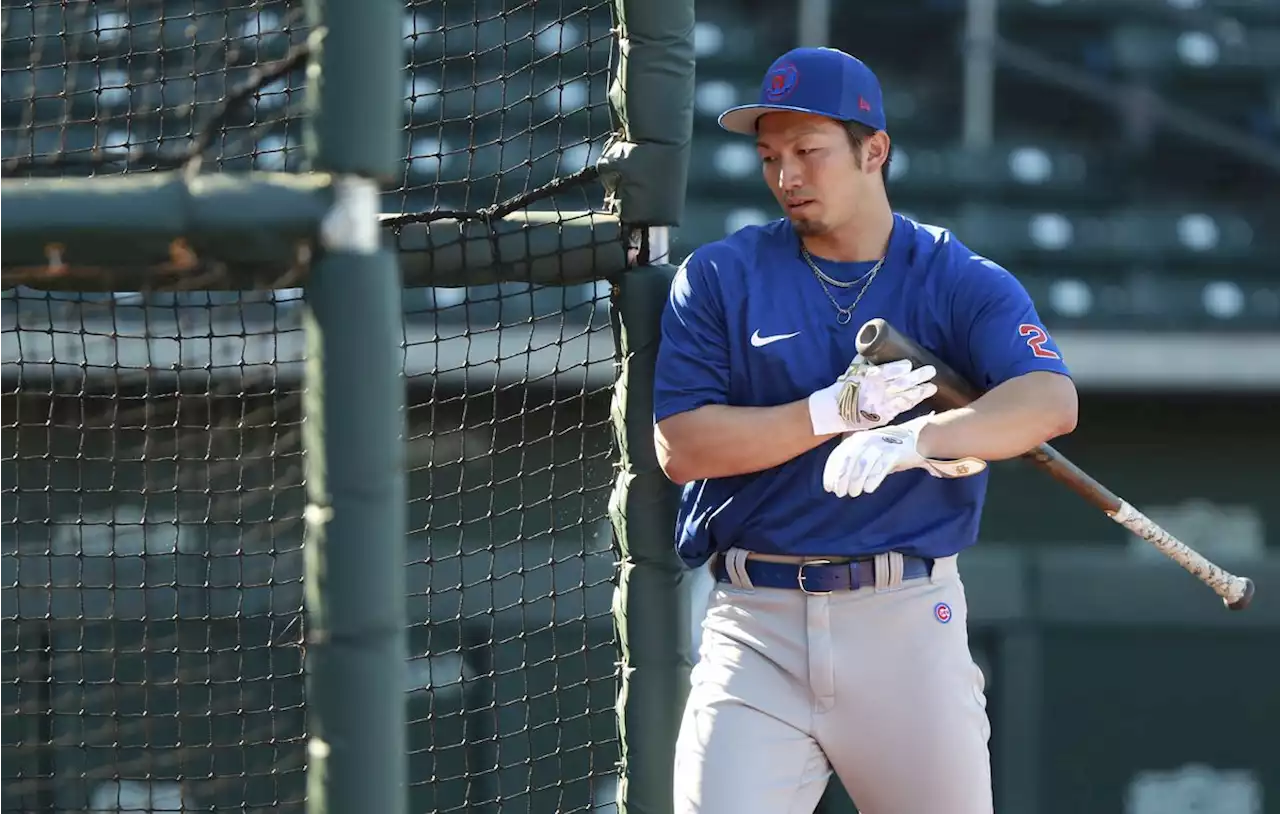 Seiya Suzuki: Get to know the new Chicago Cubs outfielder