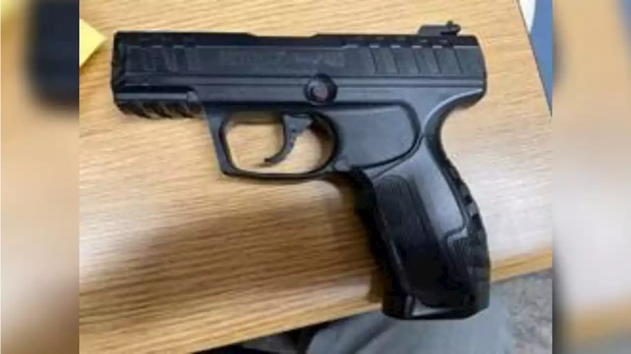 Man in custody after pointing fake gun at Lake County courthouse, sheriff says