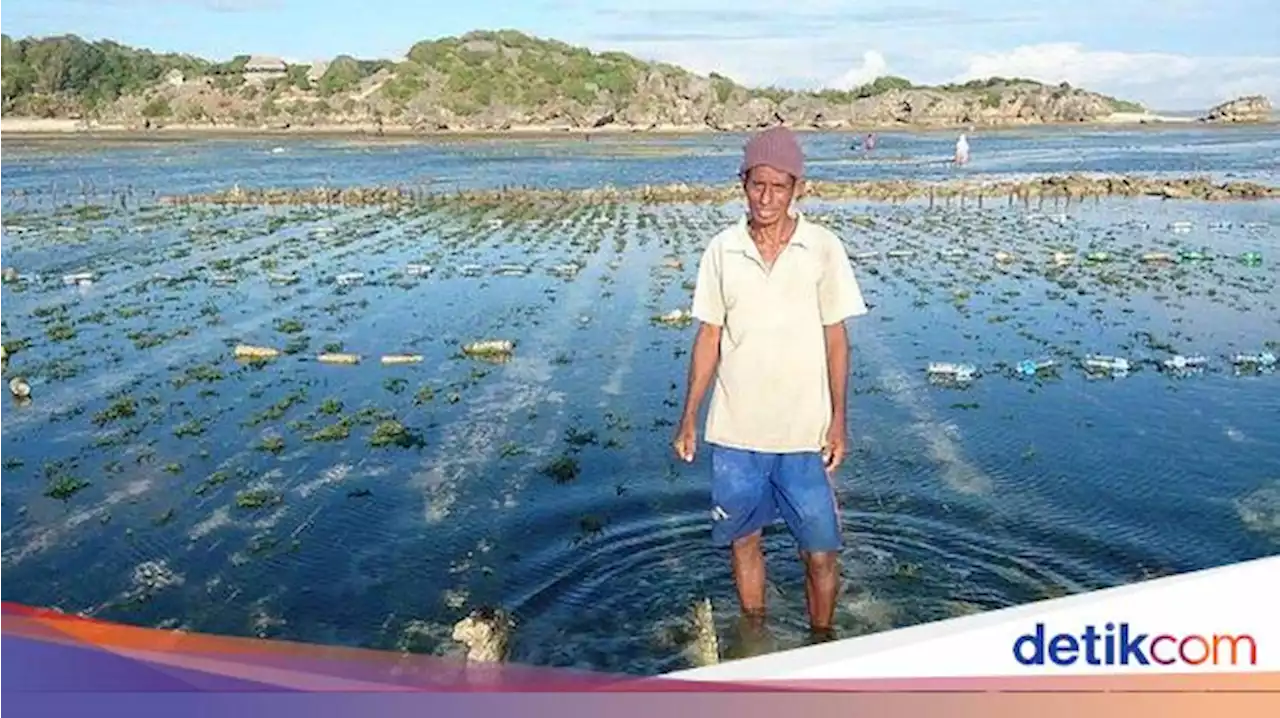 Menang Kasus Montara, Nelayan dan Petani NTT Tak Kunjung Dapat Ganti Rugi