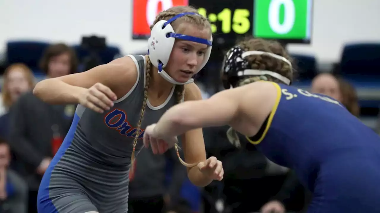 2022 All-Metro girls wrestling teams