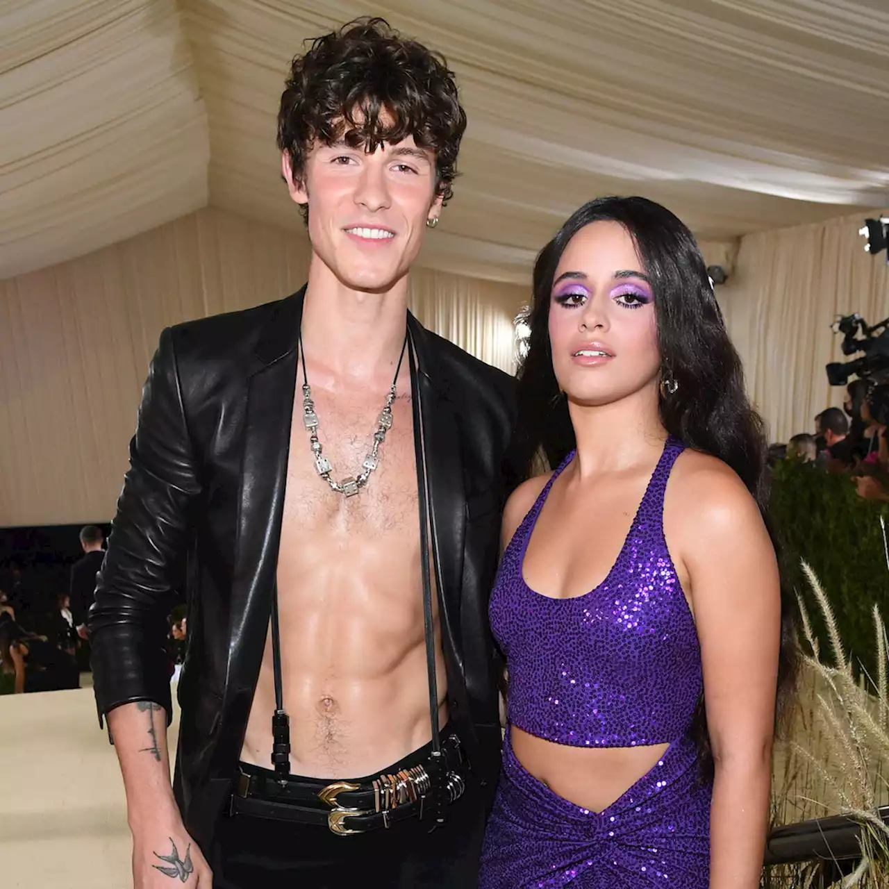 Shawn Mendes Reveals How Ex Camila Cabello Feels About His New Breakup Song - E! Online