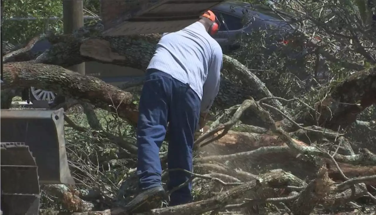 Strong storms cause damage in Avalon Beach community