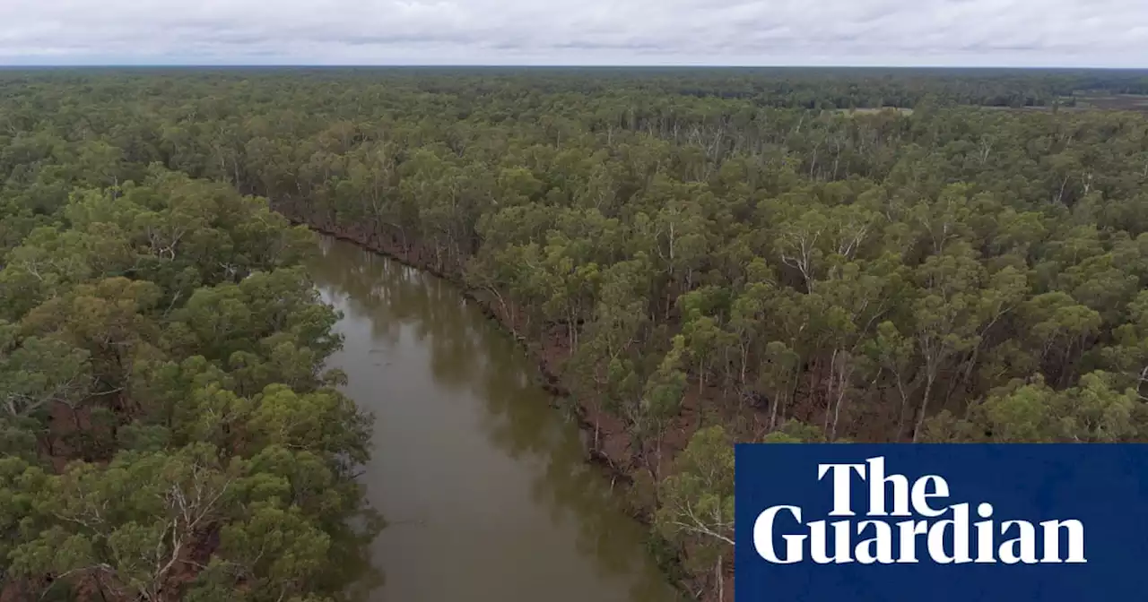 ACF rejects Angus Taylor’s claim it eased off attacking Australia’s carbon credit scheme