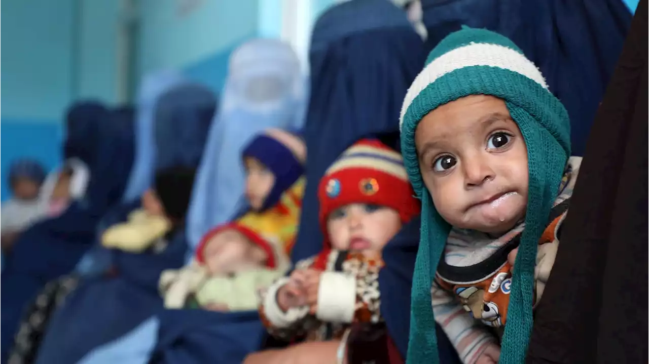 Afghan Children Are Dying. Humanitarian Agencies Are Their Only Lifeline.