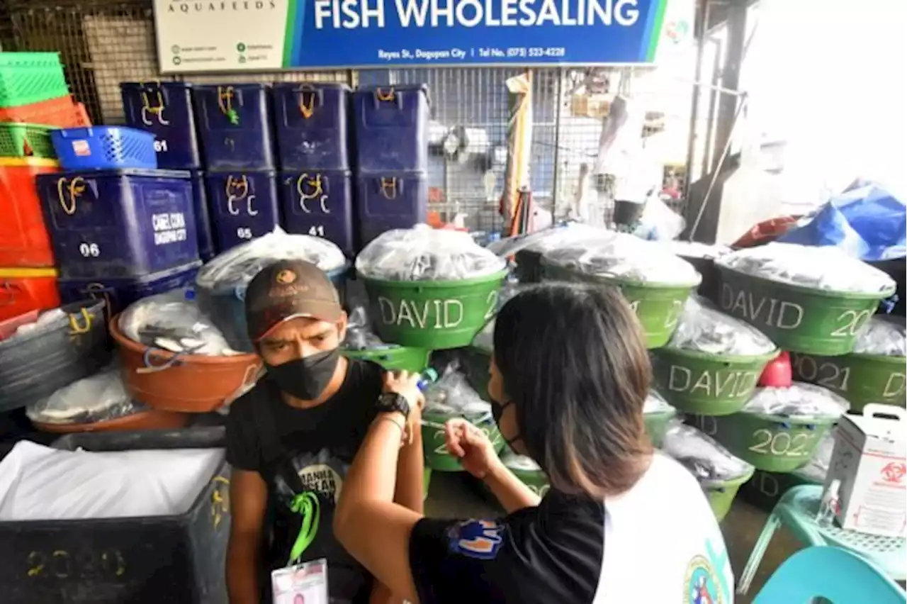 Health expert warns of COVID-19 ‘surge’ after May 9 polls