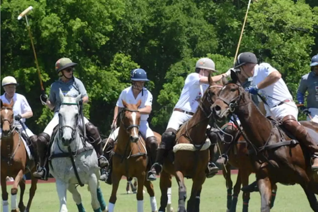 Get your fancy hat ready for Fiesta Kings Cup Polo Party