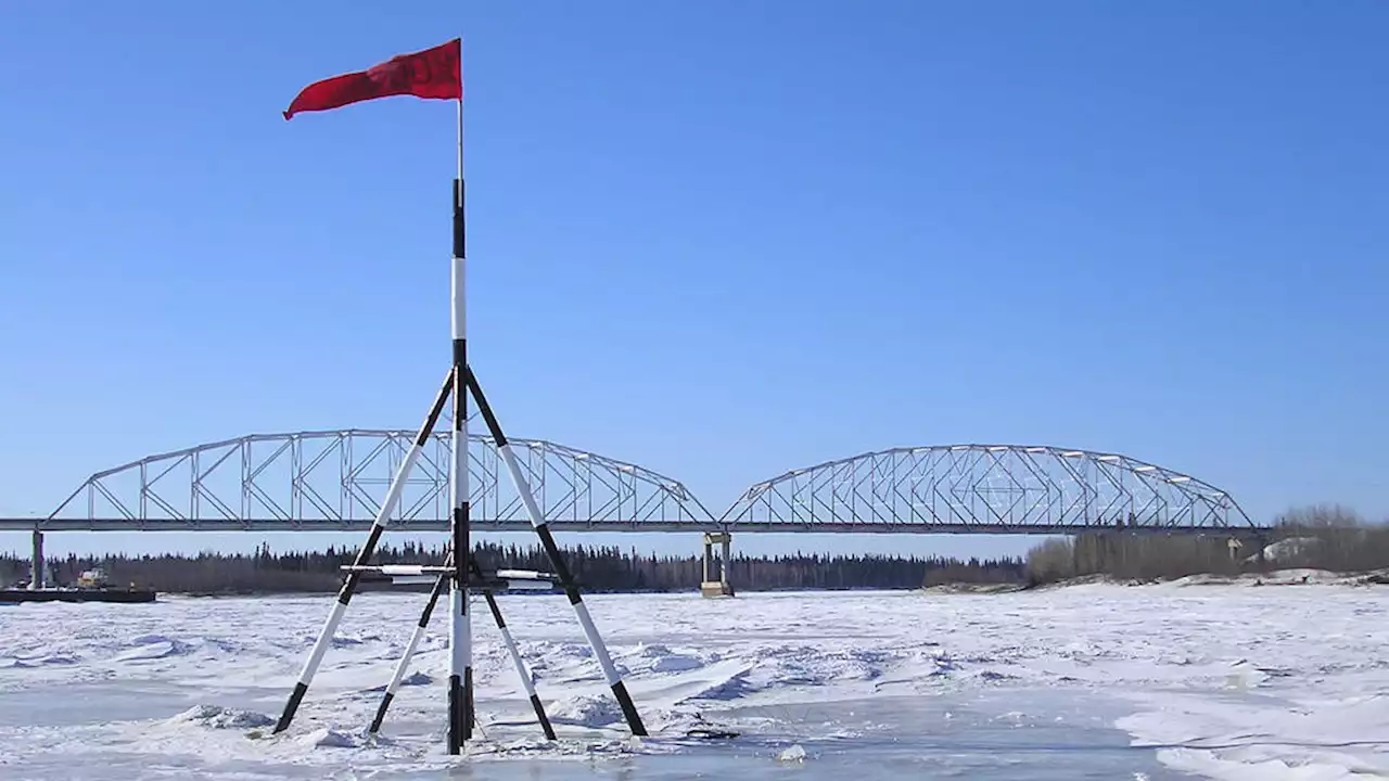 John Oliver sends man in polar bear suit to Nenana, pledges $10K to Food Bank of Alaska