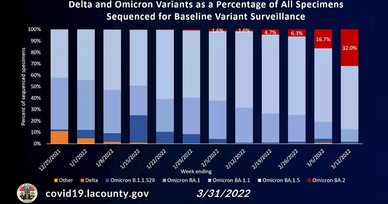 LA’s COVID Cases Plateau As BA.2 Subvariant Spreads