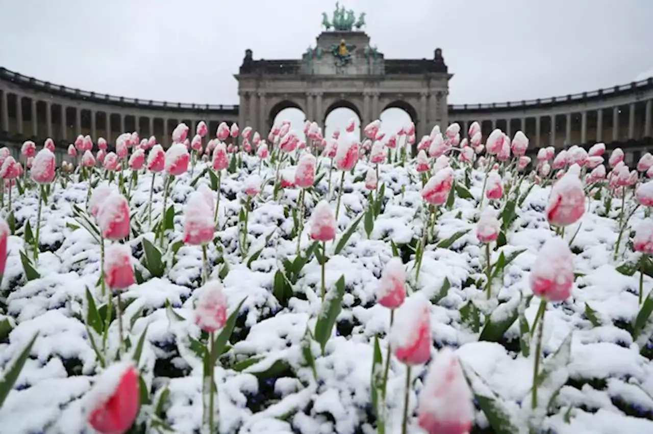 Le 1er avril le plus froid depuis 1892