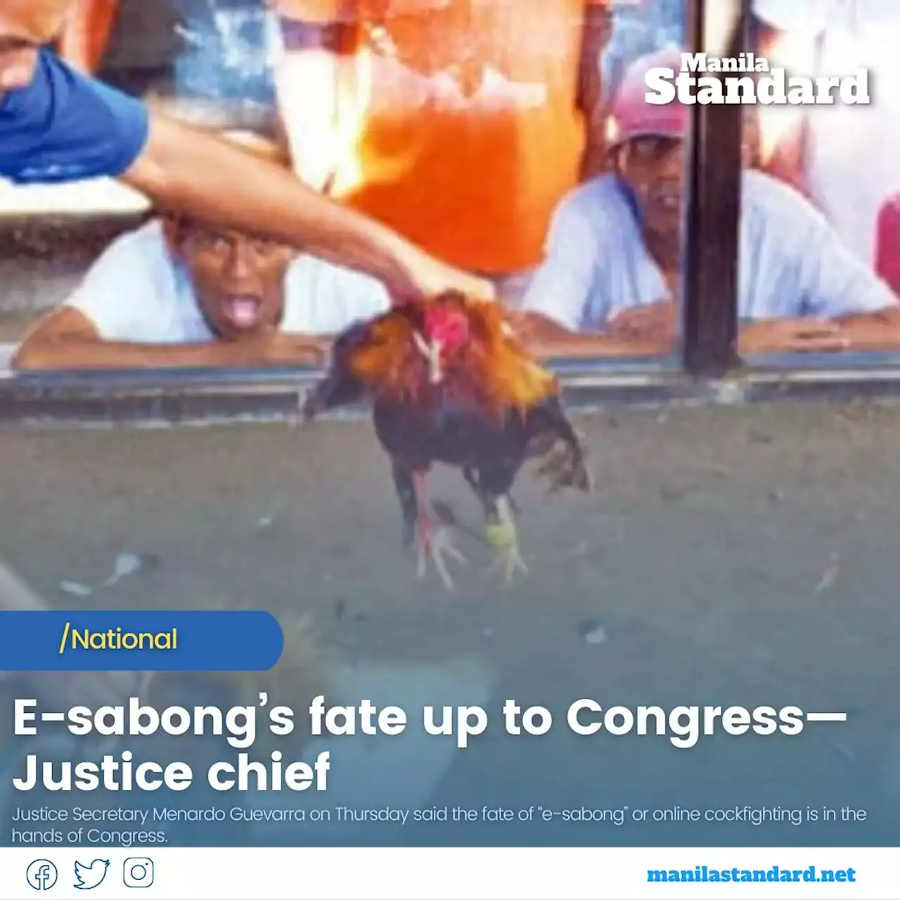 E-sabong’s fate up to Congress—Justice chief