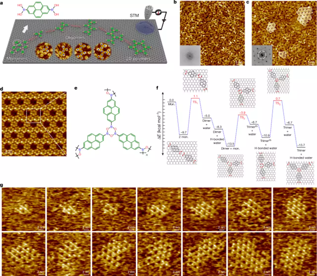 Observing polymerization in 2D dynamic covalent polymers - Nature