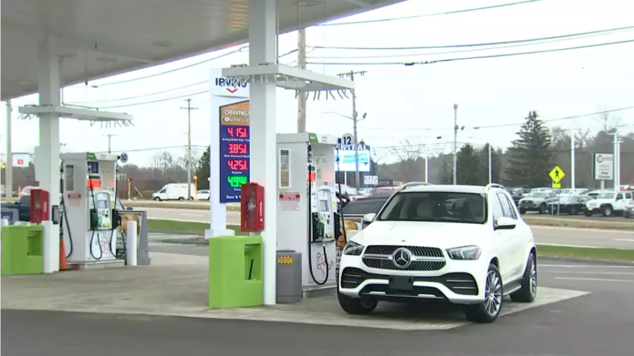 People Line Up for Free Gas on Route 1 in Norwood