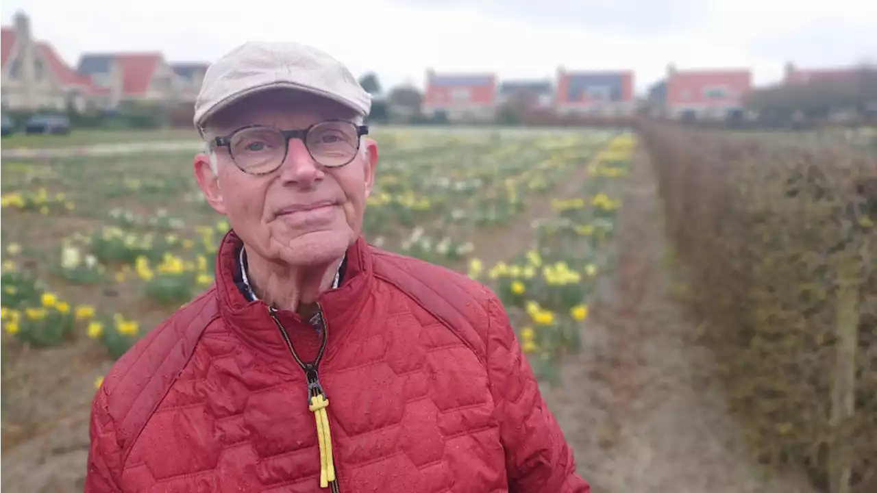 Bollen bloeien volop, Hortus Bulborum na twee corona jaren eindelijk weer open