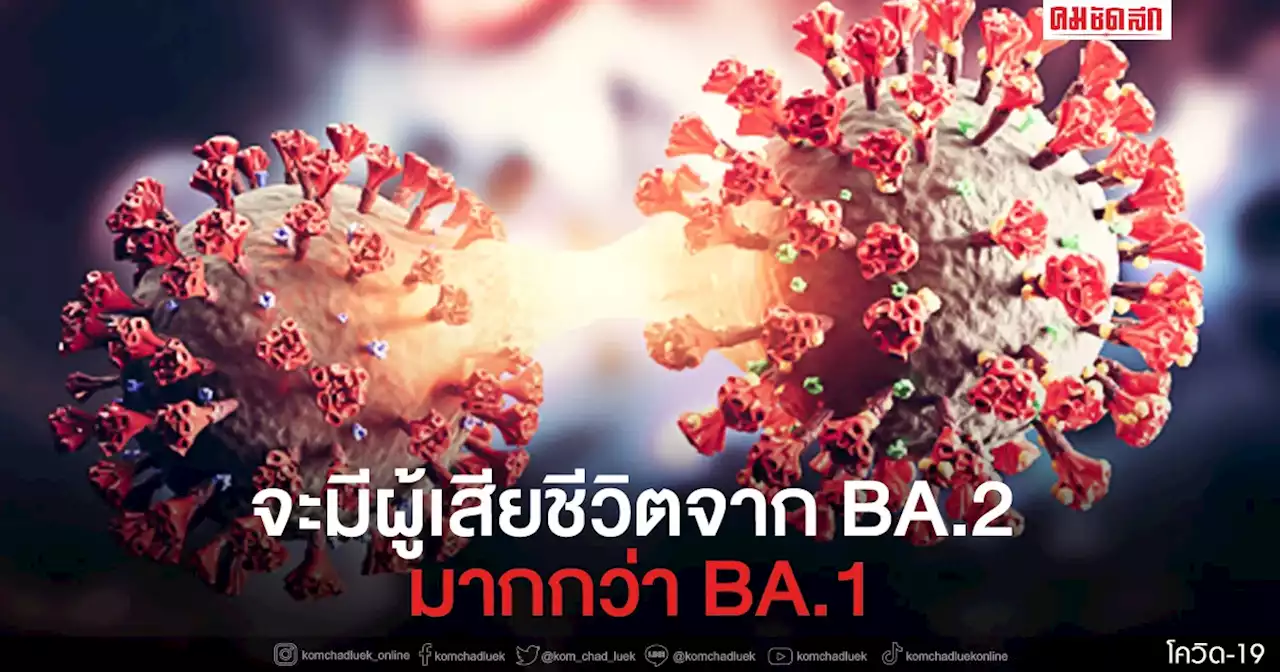 เตรียมรับผลกระทบ ศูนย์จีโนมฯ เผยไทยพบผู้ติดเชื้อ 'โอไมครอน' BA.2 พุ่งสูง