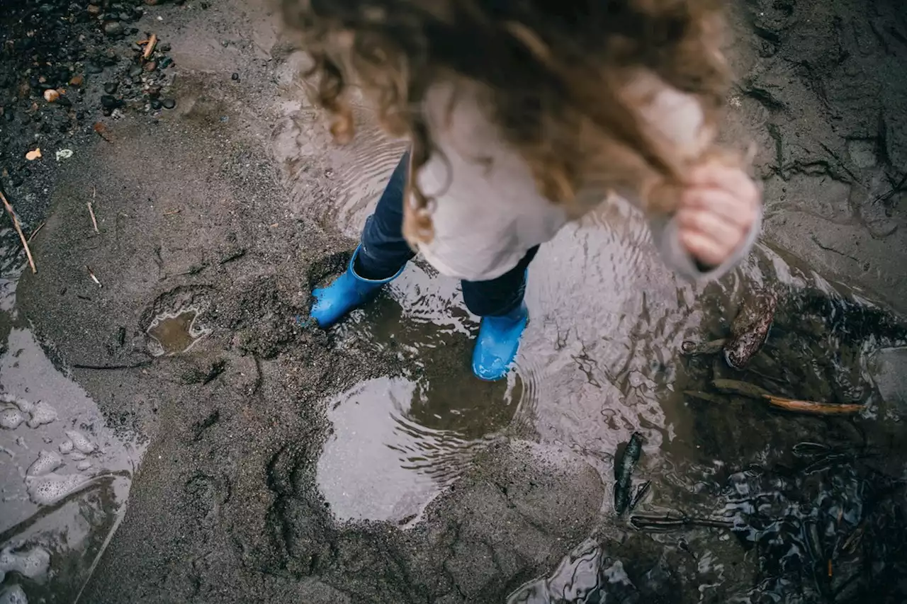 Let Your Kids Get Dirty, Even If You're A Neat Freak Like Me