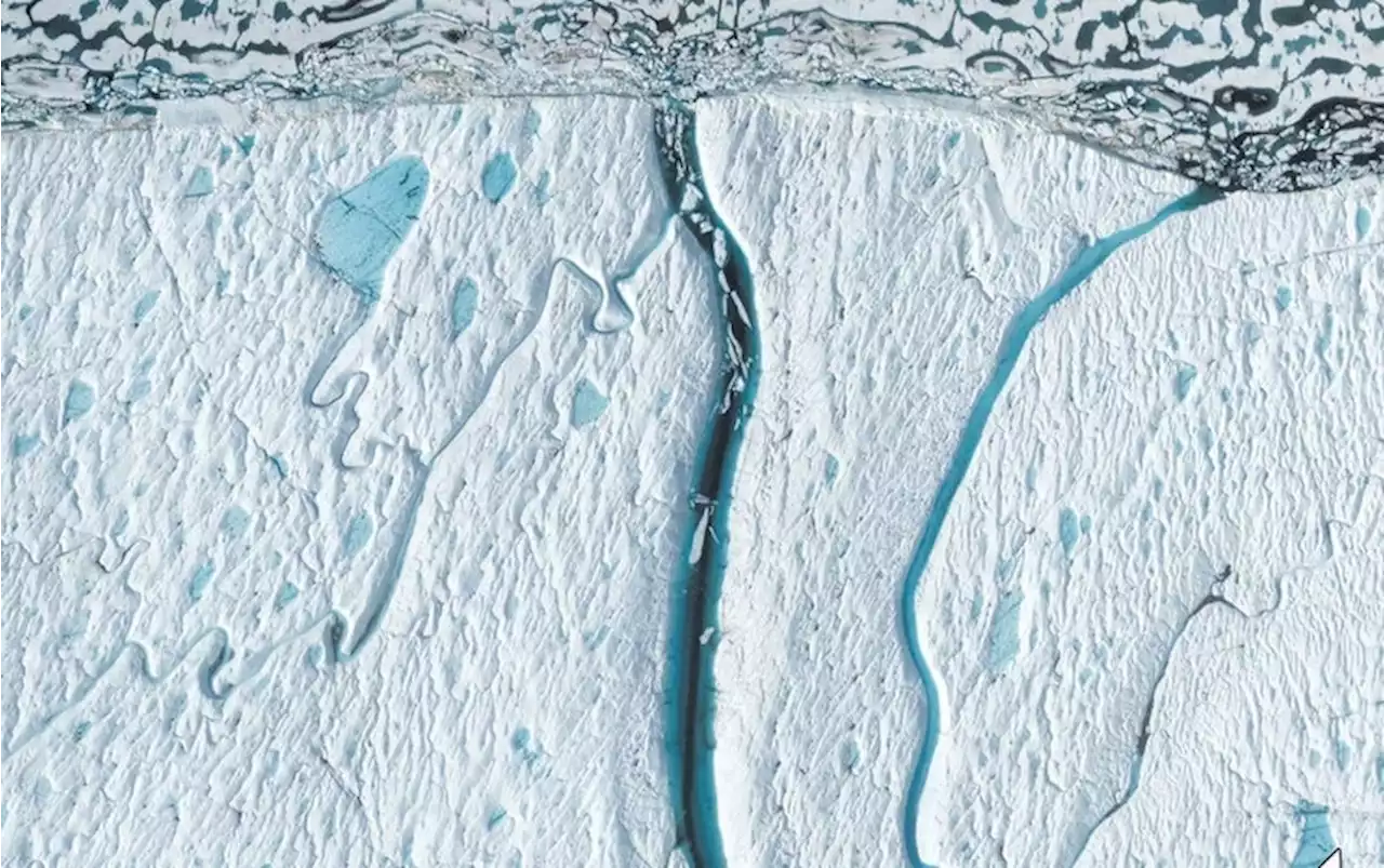 Backward-Flowing Rivers Can Destabilize Ice Shelves