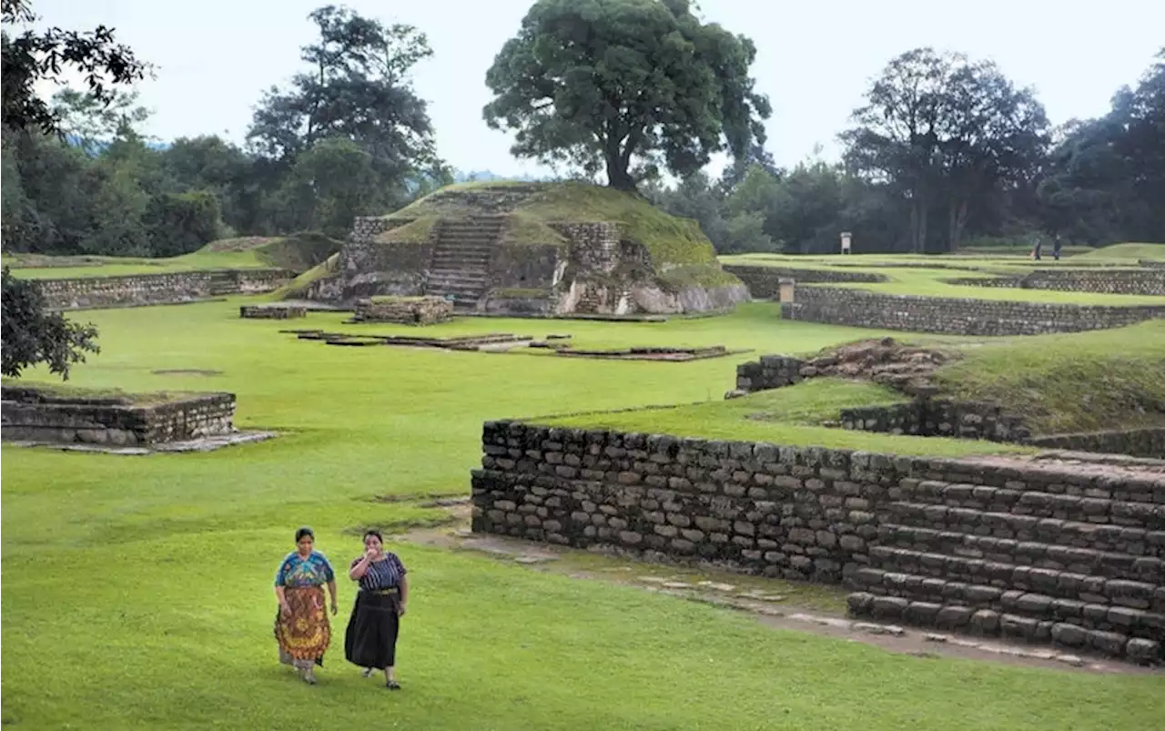 Toxic Algae Plagued Ancient Maya Civilization