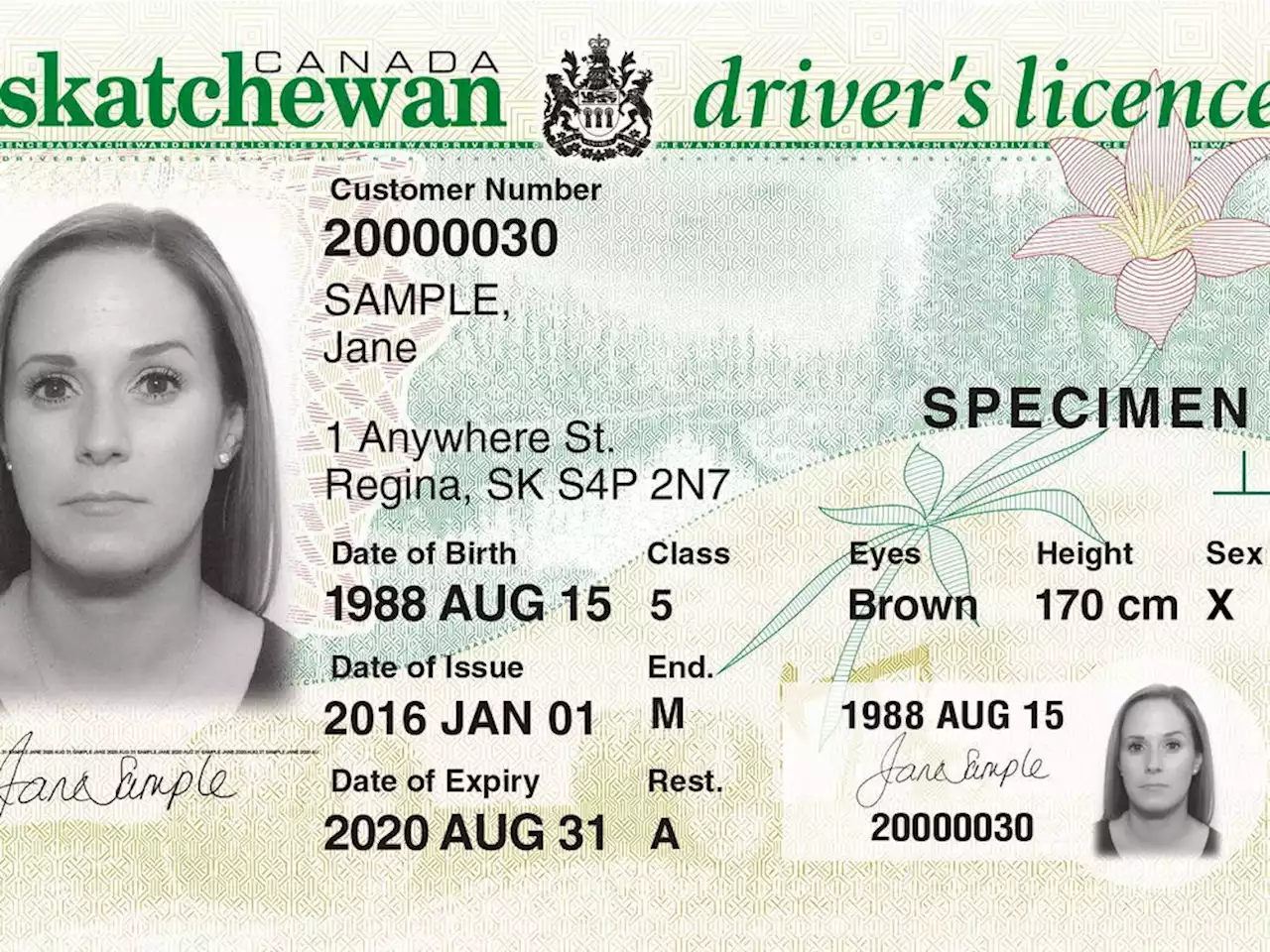 Sask. government stops pursuit of potential digital ID