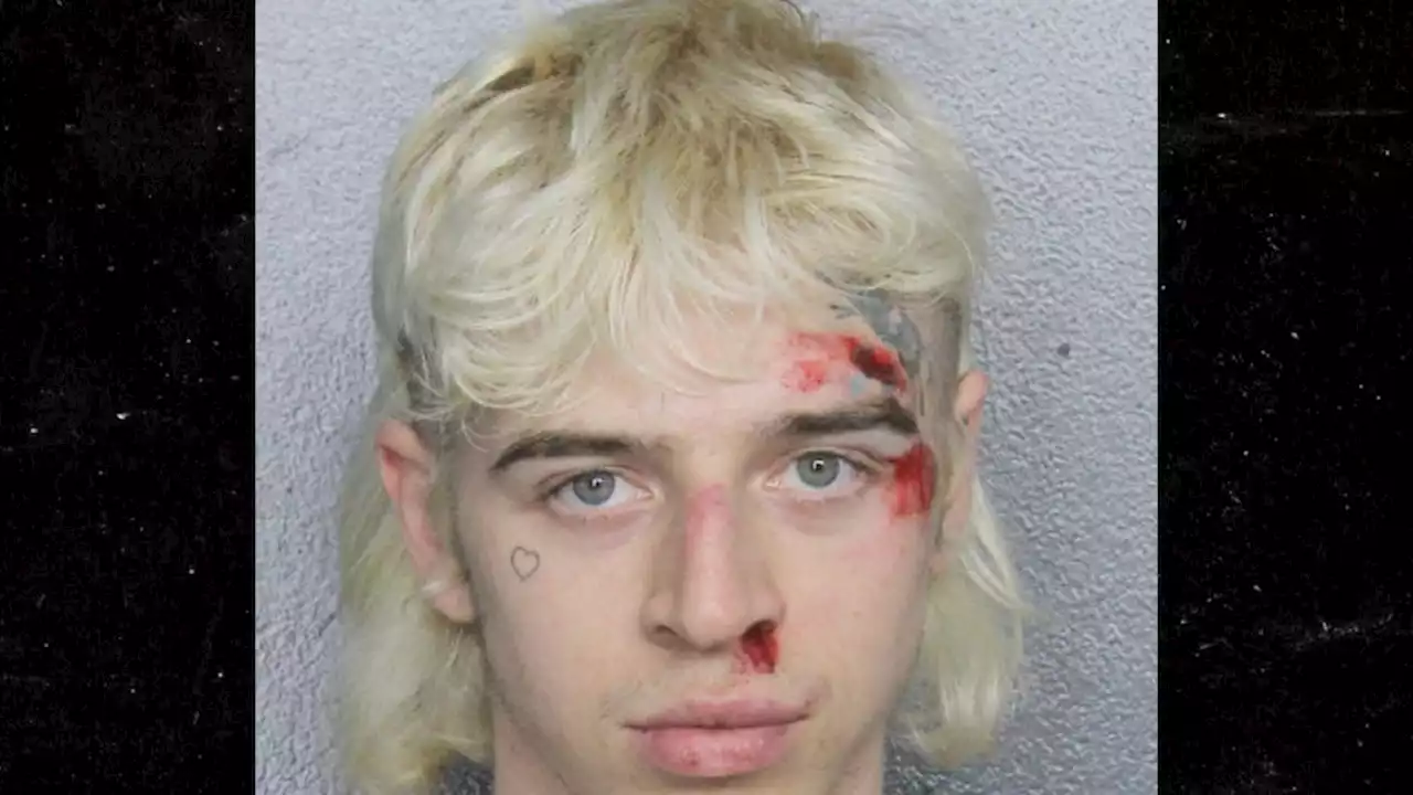 TikTok Star Icy Wyatt Arrested for Battery on Police Officer