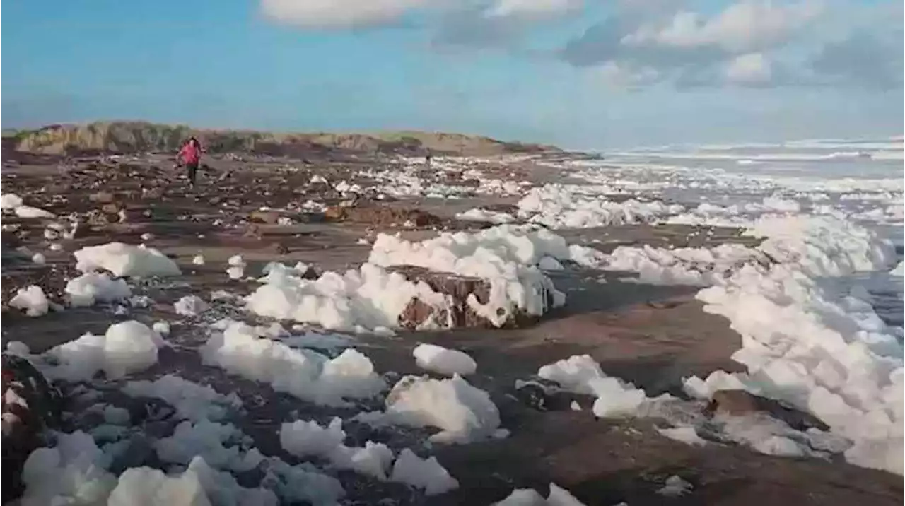 Sorpresa en Mar del Sur por una enorme cantidad de espuma que cubrió la playa