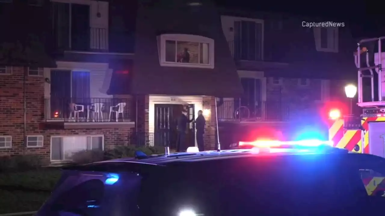 Elgin shooting: 6 injured during gathering in west suburb, police say