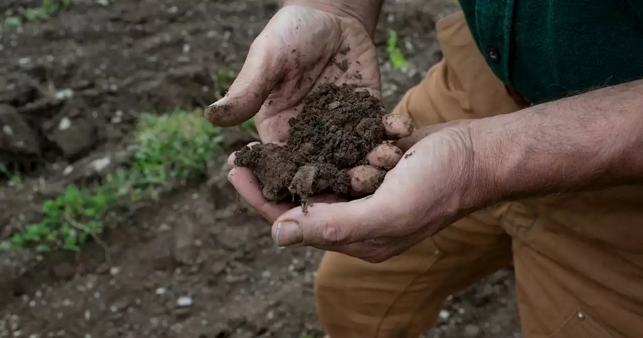 Opinion | Organic Regenerative Farming Remains Key for Our Sustainable Future