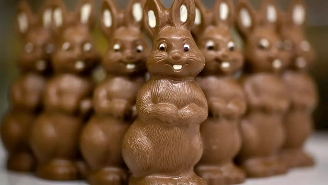 Bräuche: Warum wir an Ostern Eier verstecken