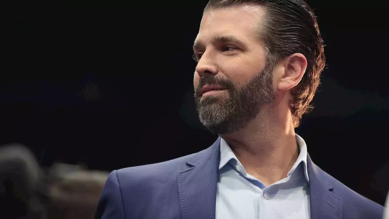 Stimmauszählung nach der US-Wahl: Offenbar kompromittierende Textnachricht von Donald Trump Jr. aufgetaucht