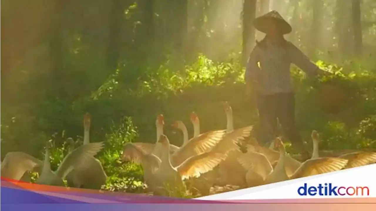 Desa Serba Palsu di China Cuma Untuk Konten Instagram