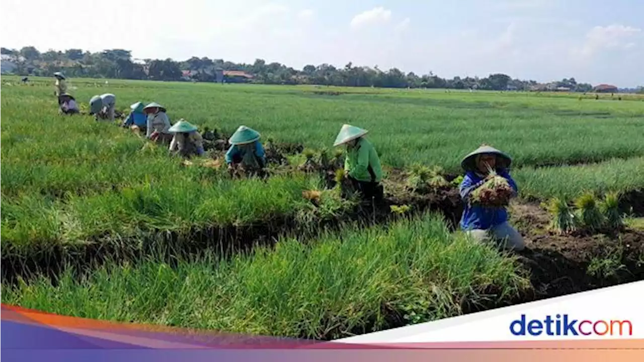 Petani Mau Tingkatkan Produktivitas? BUMN Tawarkan Program Ini