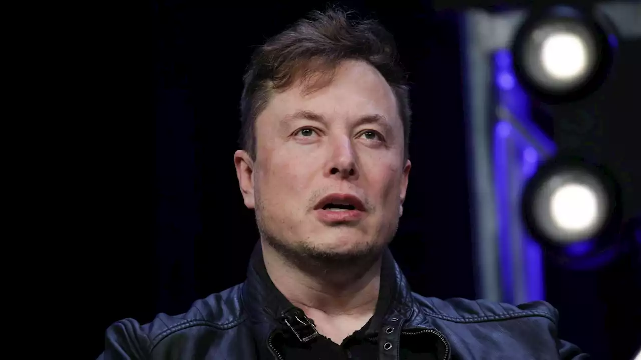 Soziale Medien - Elon Musk sorgt sich um Zukunft von Twitter - Nutzer mit vielen Followern twittern zu wenig