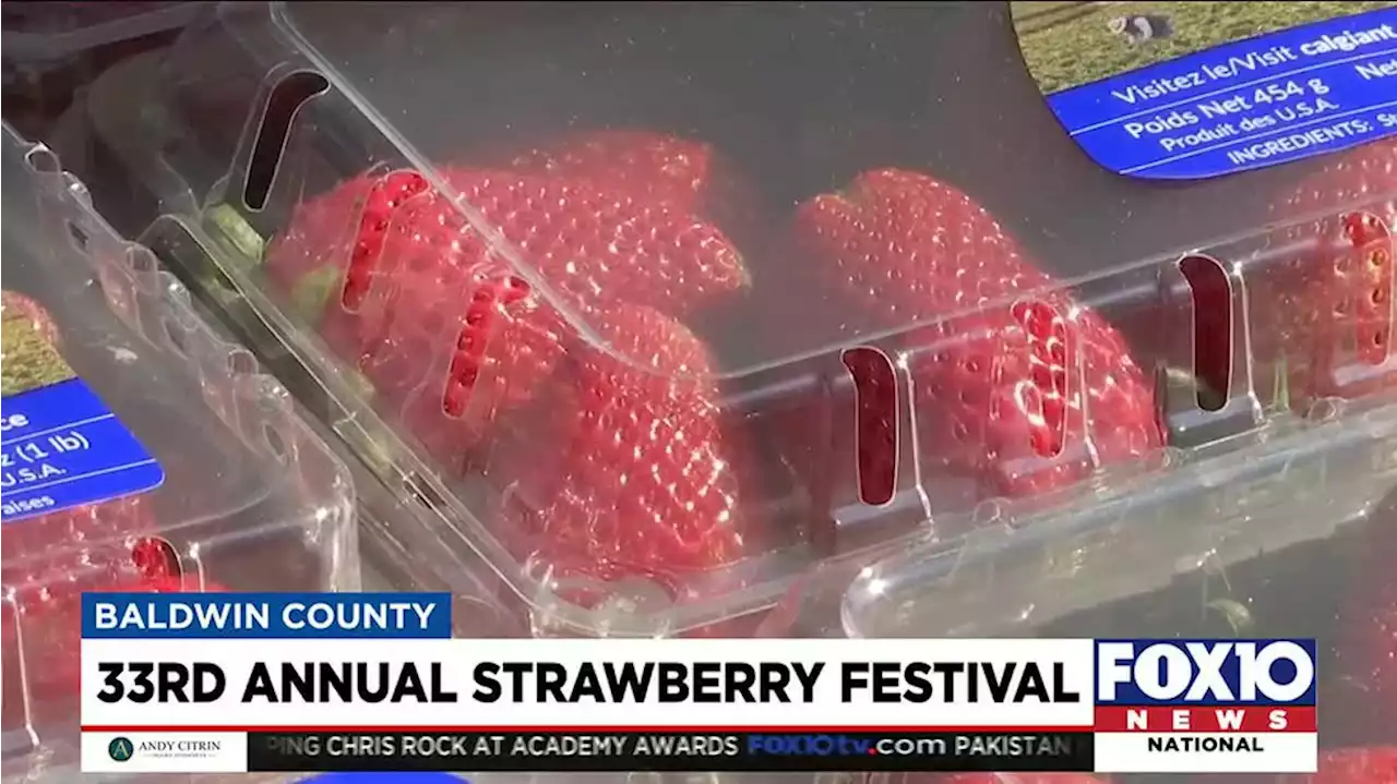 Crowds turn out for 33rd annual strawberry festival