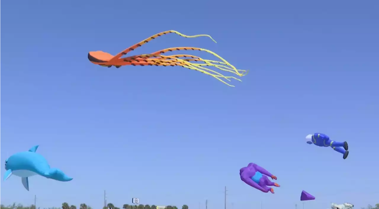 Kites soared high at Battleship Memorial Park for “Kites Over Mobile”