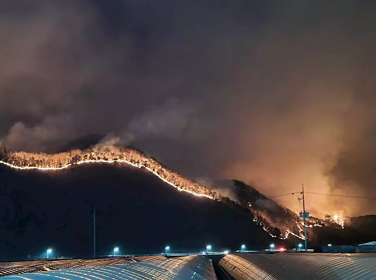 양구·군위 ‘산불 2단계’…주말 이틀간 전국서 37건 발생