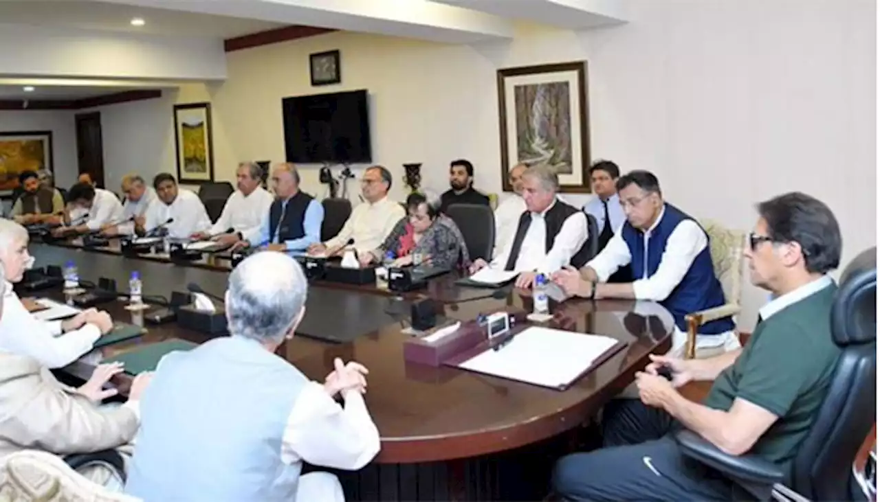 قومی اسمبلی سےاستعفے دینےکےمعاملے پرتحریک انصاف پارلیمانی پارٹی میں اختلافات، ذرائع