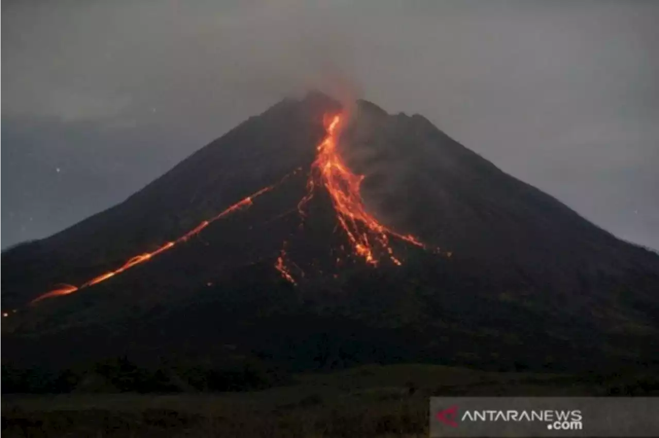 Gunung Merapi Pekan Ini: 144 Kali Guguran Lava Meluncur 2 Kilometer