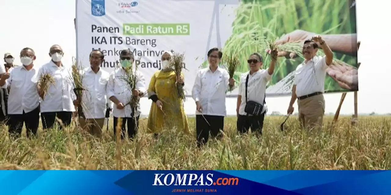 Luhut Ingin Formula R5 IKA ITS Digunakan di Lahan Food Estate