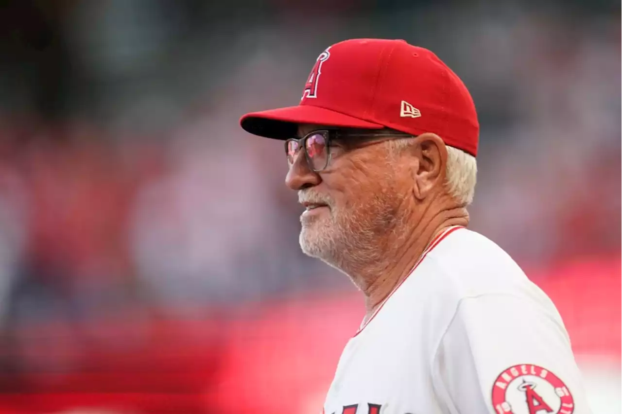 Joe Maddon believes Angels’ infield platoon can work despite reverse splits