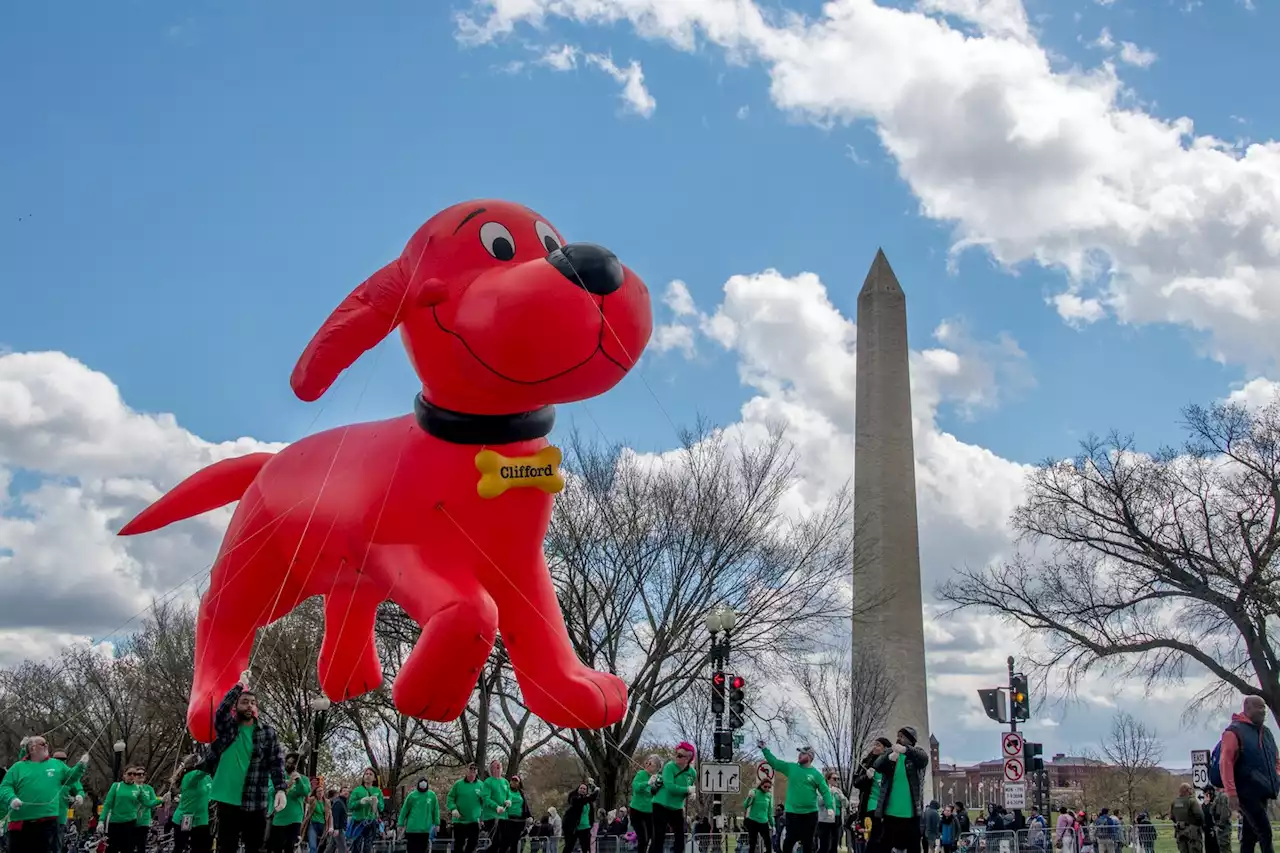 D.C.-area forecast: Cool and breezy today before a welcome warm-up