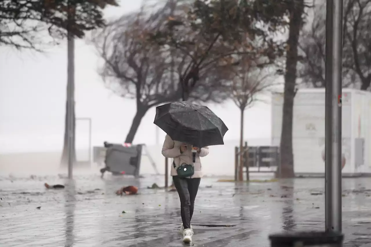 Tempête Diego : 6.000 foyers toujours privés d'électricité