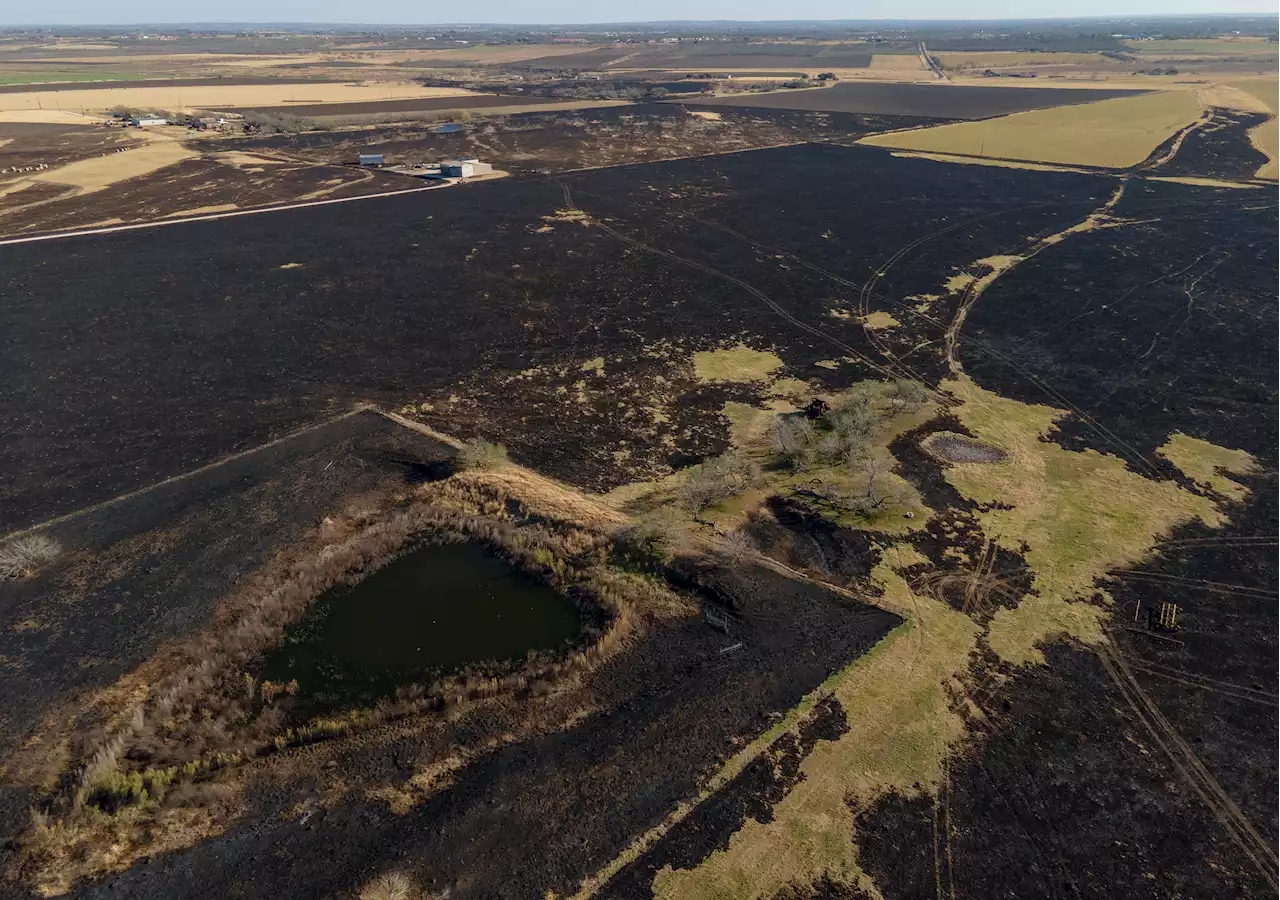 Longer, drier droughts are coming to Texas. Is San Antonio ready?