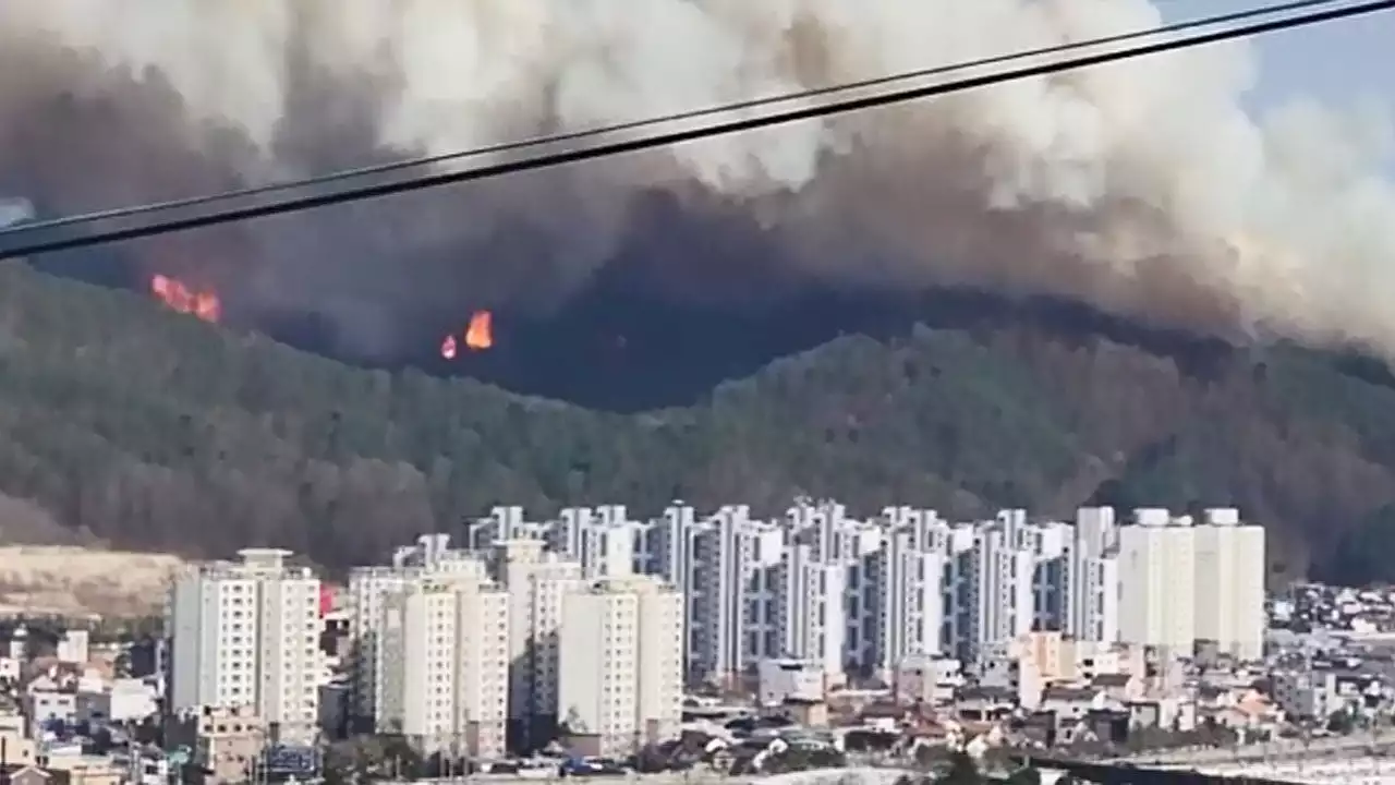 경북 · 강원 산불 확산…주말 이틀 동안만 30여 건 발생